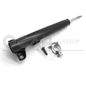 Stoßdämpfer 82233FU von OCAP günstig für 75,40 € online kaufen