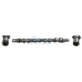 Nockenwelle CM05-2366 von FRECCIA günstig für 98,73 € online kaufen
