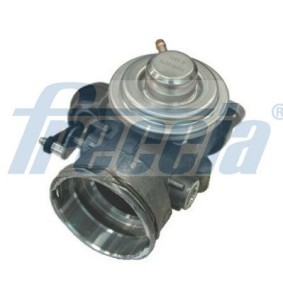 AGR-Ventil EGR12-181 von FRECCIA günstig für 92,20 € online kaufen