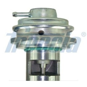 AGR-Ventil EGR12-187 von FRECCIA günstig für 75,99 € online kaufen