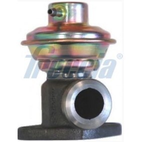 AGR-Ventil EGR12-190 von FRECCIA günstig für 100,16 € online kaufen