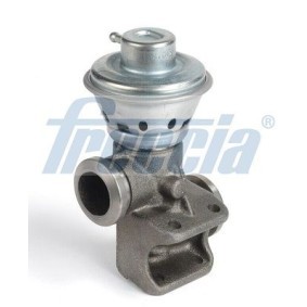 AGR-Ventil EGR12-191 von FRECCIA günstig für 76,85 € online kaufen
