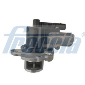 AGR-Ventil für HYUNDAI von FRECCIA
