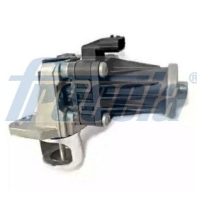 Acquista Valvola EGR da FRECCIA EGR12-207 a buon mercato per soli 133,73 €