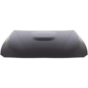Motorhaube des Herstellers DIEDERICHS - Originalware Artikelnummer: 1217800
