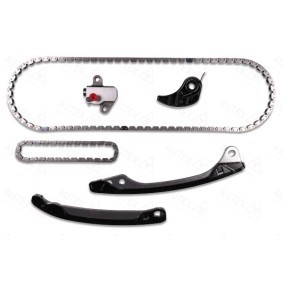 Steuerkettensatz 711620 von AUTEX günstig für 249,14 € online kaufen