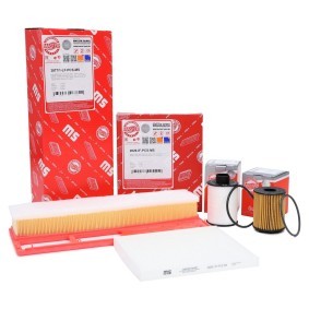 Filterset 450002472 von MASTER-SPORT günstig für 21,21 € online kaufen