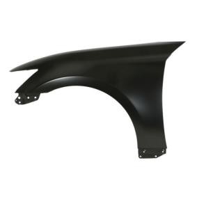 Kotflügel 6504-04-8188311P von BLIC günstig für 66,11 € online kaufen