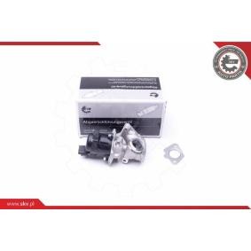 Compre Válvula EGR da ESEN SKV 14SKV202 a um preço baixo por 121,76 €