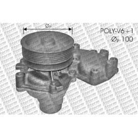 Osta Vesipumppu STORM QUALITY PARTS:llä PA10748 edullisesti hintaan 125,97 €