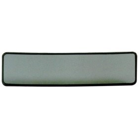 Innenspiegel des Herstellers CARPOINT - Originalware Artikelnummer: 2437829