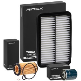 Compre Kit de filtros de RIDEX online para SANTA FÉ I (SM) a preços moderados