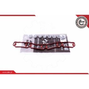 Acquista Kit riparazione, modulo collettore aspirazione da ESEN SKV 49SKV510 a buon mercato per soli 110,38 €