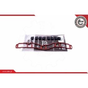 Acquista Kit riparazione, modulo collettore aspirazione da ESEN SKV 49SKV514 a buon mercato per soli 59,48 €