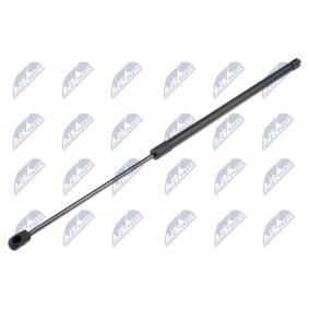 Acquista Ammortizatore pneumatico, Cofano bagagli / vano carico da NTY AE-HY-033 a buon mercato per soli 13,42 €