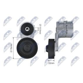 Spannrolle, Keilrippenriemen RNK-PL-025 von NTY günstig für 52,57 € online kaufen