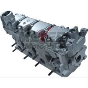 Zylinderkopf 013021100 von MEYER MOTOREN günstig für 814,14 € online kaufen