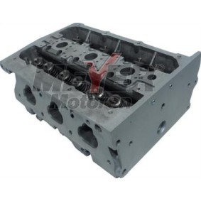 Zylinderkopf 013038360 von MEYER MOTOREN günstig für 948,94 € online kaufen