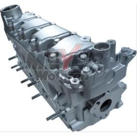 Zylinderkopf 013021010 von MEYER MOTOREN günstig für 814,14 € online kaufen