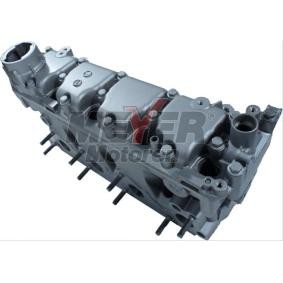 Zylinderkopf 013021020 von MEYER MOTOREN günstig für 814,14 € online kaufen