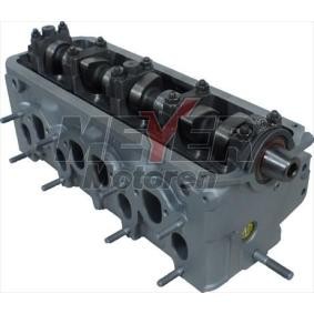 Zylinderkopf 013026750 von MEYER MOTOREN günstig für 810,78 € online kaufen