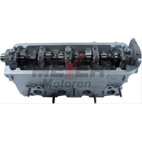 Zylinderkopf 013027020 von MEYER MOTOREN günstig für 711,45 € online kaufen