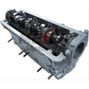 Zylinderkopf 013027330 von MEYER MOTOREN günstig für 814,14 € online kaufen