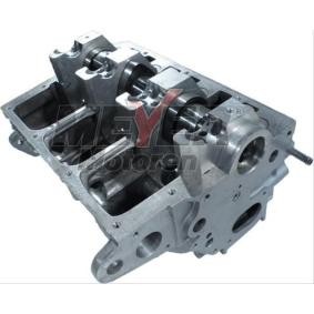 Zylinderkopf 013028010 von MEYER MOTOREN günstig für 1017,52 € online kaufen