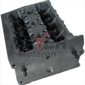 Zylinderkopf 013031980 von MEYER MOTOREN günstig für 943,79 € online kaufen