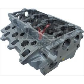 Zylinderkopf 013038370 von MEYER MOTOREN günstig für 1103,91 € online kaufen