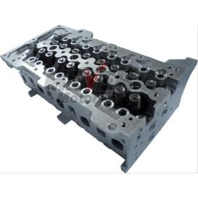 Zylinderkopf 033039070 von MEYER MOTOREN günstig für 958,13 € online kaufen