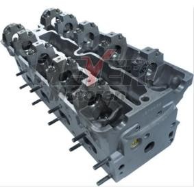 Zylinderkopf 033039540 von MEYER MOTOREN günstig für 957,77 € online kaufen