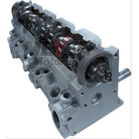 Zylinderkopf 063029110 von MEYER MOTOREN günstig für 1085,39 € online kaufen