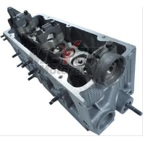 Zylinderkopf 063031230 von MEYER MOTOREN günstig für 616,89 € online kaufen