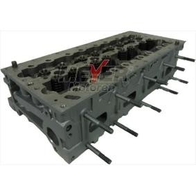 Zylinderkopf 063039410 von MEYER MOTOREN günstig für 1085,39 € online kaufen