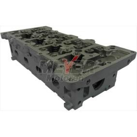 Zylinderkopf 063039430 von MEYER MOTOREN günstig für 1085,39 € online kaufen