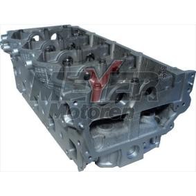 Zylinderkopf 223030060 von MEYER MOTOREN günstig für 1162,40 € online kaufen