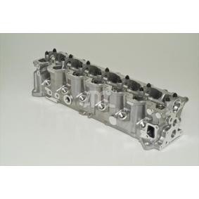 Zylinderkopf 224030010 von MEYER MOTOREN günstig für 1506,91 € online kaufen