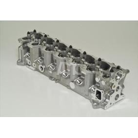 Zylinderkopf 224030020 von MEYER MOTOREN günstig für 1506,91 € online kaufen