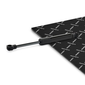 Gasfeder, Verdeck des Herstellers RIDEX - Originalware Artikelnummer: 1207G0012