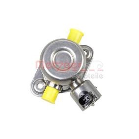 Hochdruckpumpe 2250495 von METZGER günstig für 212,97 € online kaufen
