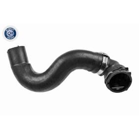 Kühlerschlauch V24-1168 von VAICO günstig für 17,79 € online kaufen