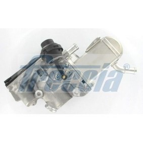 AGR-Modul für RENAULT von FRECCIA