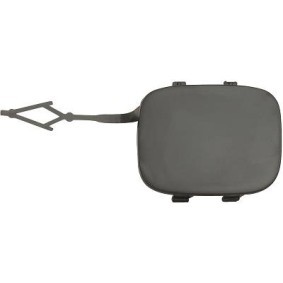 Klappe, Abschlepphaken 4007662 von DIEDERICHS günstig für 21,06 € online kaufen