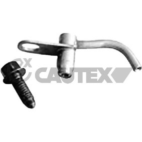 Ölpumpe des Herstellers CAUTEX - Originalware Artikelnummer: 769258