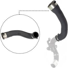 Ladeluftschlauch des Herstellers RAPRO - Originalware Artikelnummer: R12794