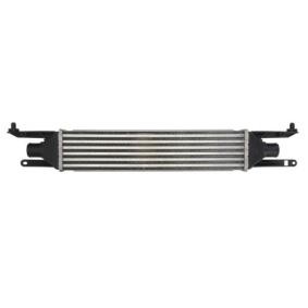 Acquista Intercooler da THERMOTEC DAF008TT a buon mercato per soli 80,86 €