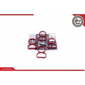 Dichtungssatz, Ansaugkrümmer 49SKV513 von ESEN SKV günstig für 40,02 € online kaufen