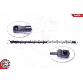 Compre Amortecedor da mala de ESEN SKV online para Astra G Classic Caravan (F35) a preços moderados