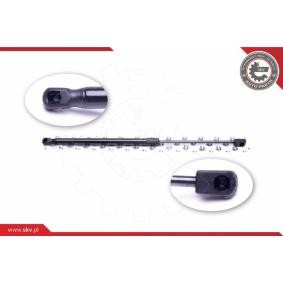 Compre Maletero de ESEN SKV online para 4007 (VU_, VV_) a precios moderados